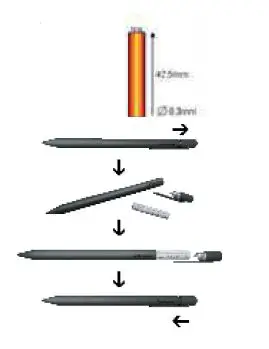 FRUNSI T11 RubensTab fig 6