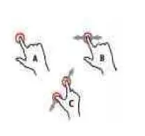 FRUNSI T11 RubensTab fig 8