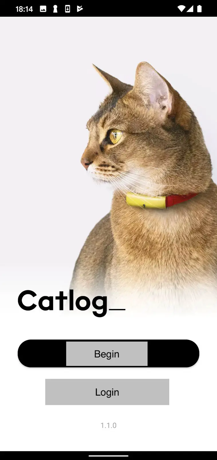 Rabo-CH01-Catlog-Home-Device-FIG-1