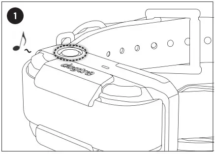 dogtra PT20U Pathfinder 2 Mini Advanced GPS Tracking and Training Device - figure 15