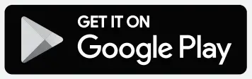 Google Store Icon