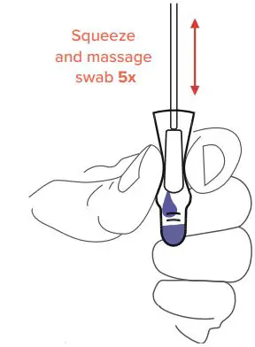 Speedy Swab Rapid COVID-19 Antigen Self-Test Instruction Manual - While holding the swab