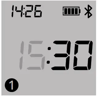 PETTADORE Nutri Turn Automatic Feeder - Feeding Plan Setting