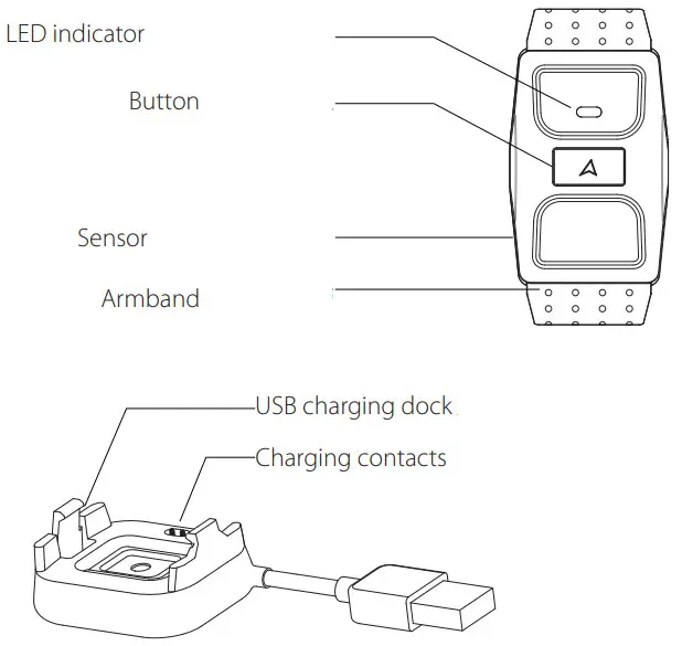 ATTACUS Obeat 1 Optical Heart Rate Armband - PART NAMES