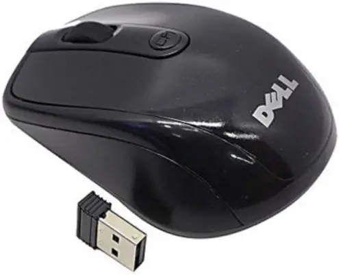DELL 2.4G Wireless Optical Mouse