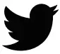 Twitter icon