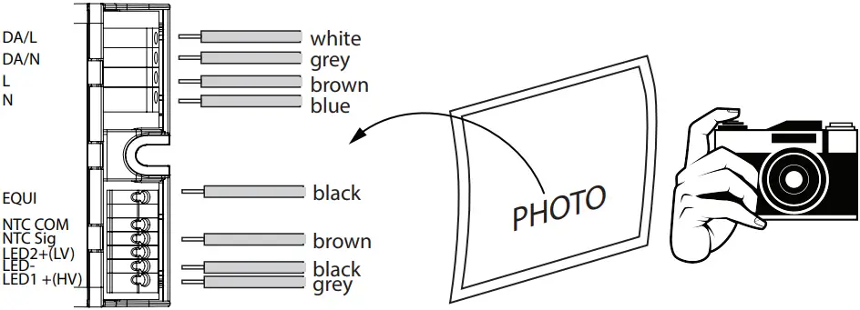 VIZULO Stork Little Brother Finless LED Street Luminaire C10