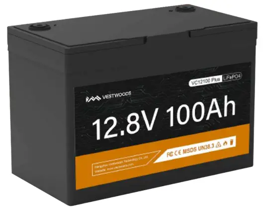 VESTWOODS VC12100 Lithium Battery