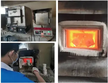 RESIONE-C01-Dental-Castable-Resin-fig-9