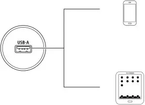 Connecting Induction