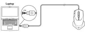 Connecting the mouse