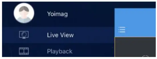REVO 0211T4FD Network Video Recorder - window,