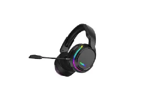 Dongguan Starfire Acoustics Technology W1 Wireless Headset User Manual