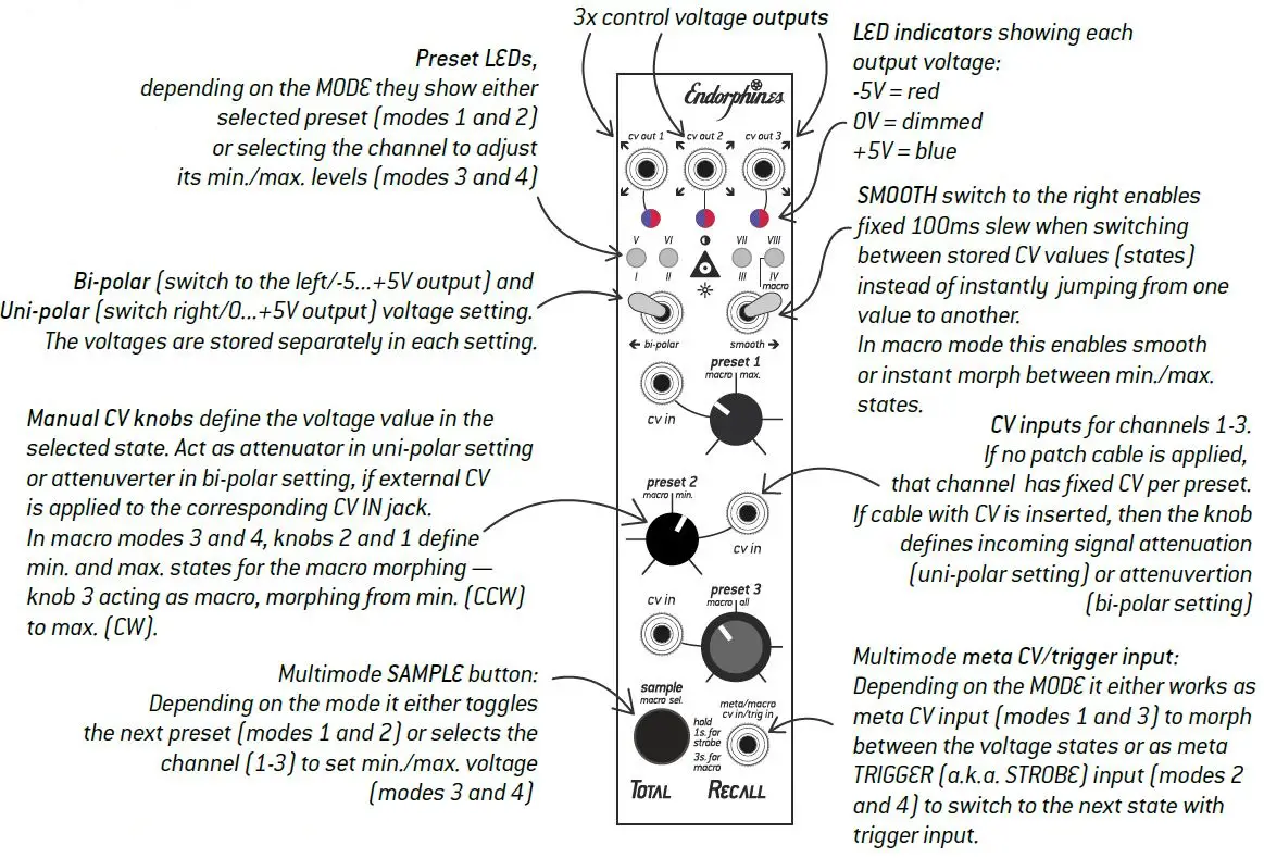 Endorephines-210531-Total-Recall-FIG-1