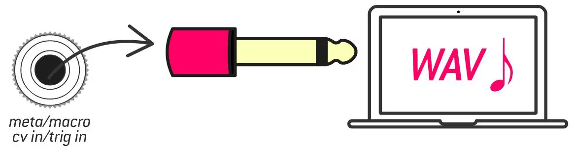 Endorephines-210531-Total-Recall-FIG-6