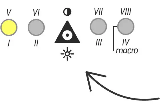 Endorephines-210531-Total-Recall-FIG-7