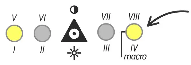 Endorephines-210531-Total-Recall-FIG-9