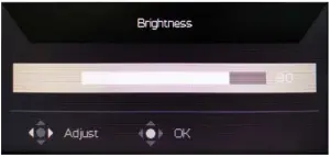 Adjusting the Brightness setting