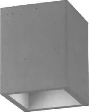 Paul Neuhaus 6161-22 Eton Ceiling Light