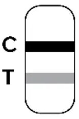 RESULT INTERPRETATION