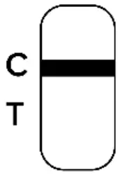 RESULT INTERPRETATION