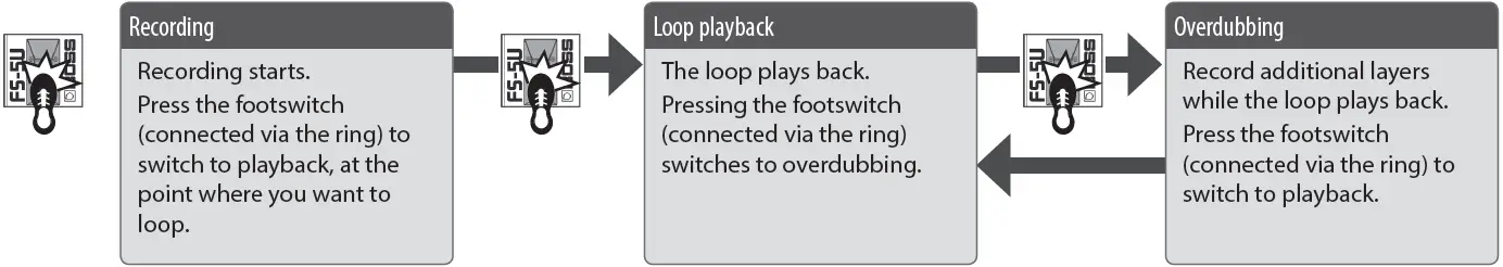BOSS Dual Cube Bass LX Bass Amplifier 08