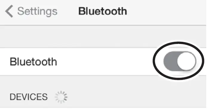 BOSS Dual Cube Bass LX Bass Amplifier 08