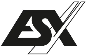 ESX logo