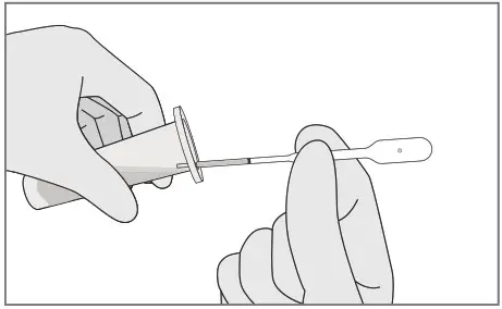 PATH G6PD Test and key features - Test procedure 4