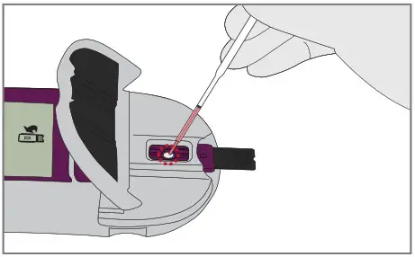 PATH G6PD Test and key features - Test procedure 5