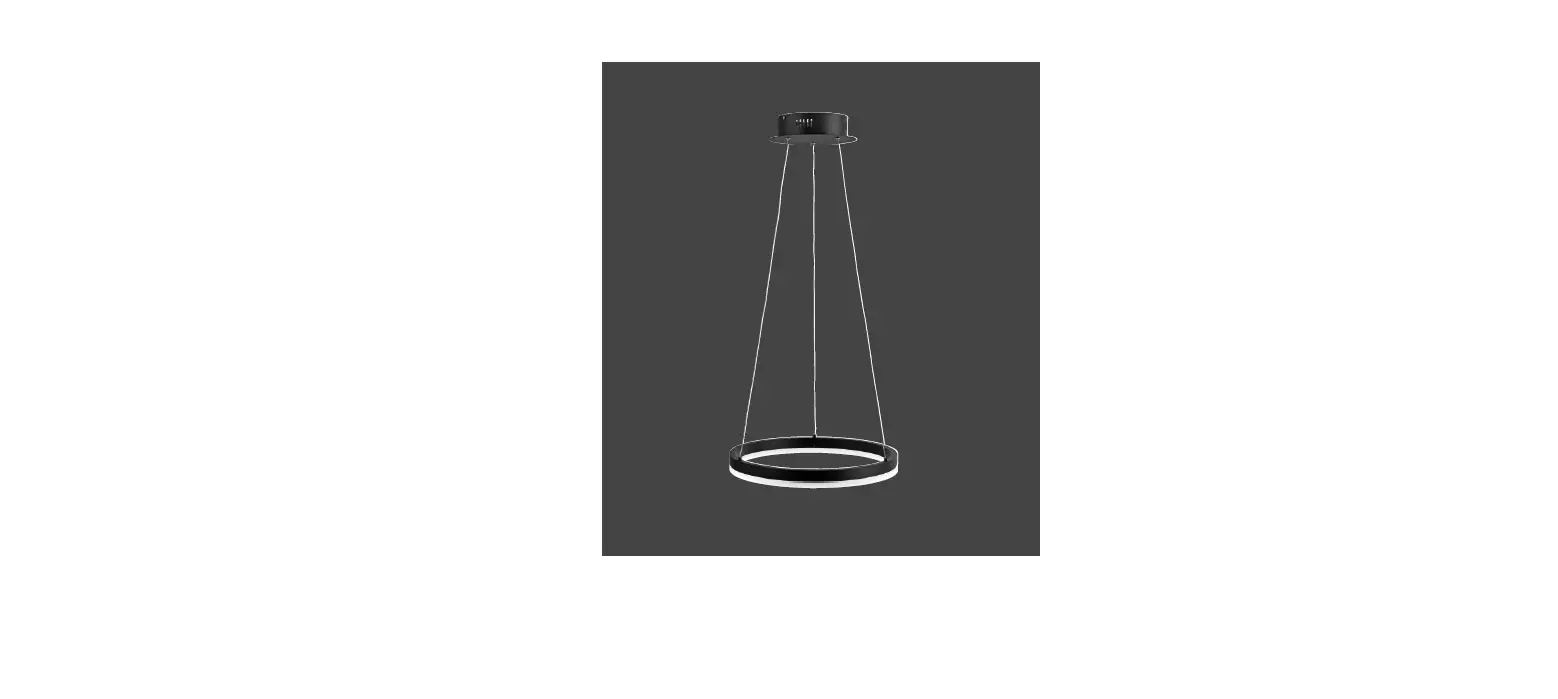 Paul Neuhaus 2381 Led Pendant Light Instruction Manual
