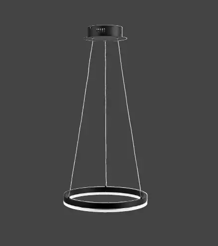 Paul-Neuhaus-2381-LED-Pendant-Light-Instruction-Manual-product