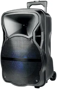 SPK-F222 Laser 12 Party Speaker with Trolley