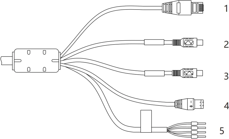 Multi-head cable