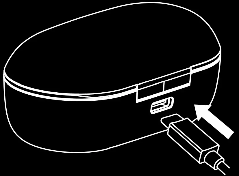 boAt Airdopes 443 Twin Wireless Earbuds - case