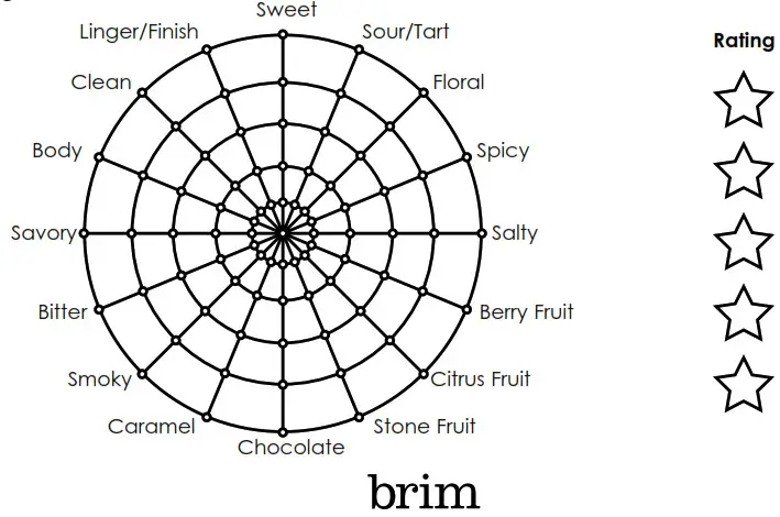brim 50018 19 Bar Espresso and 10 Cup Programmable Coffee Maker - Tasting Wheel
