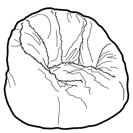 DELTA CHILDREN CTW1902-5000 Snuggle Tween Foam Chair --