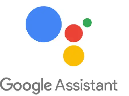 Mascon Voice with Google Assistant