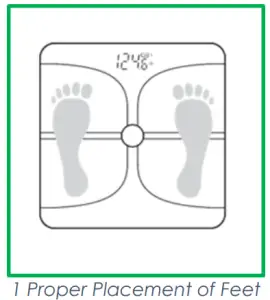 RCP ADF B833 Wireless Scale-Measurement