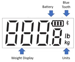 RCP ADF B833 Wireless Scale-Results
