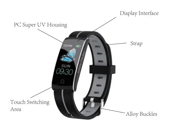 Basic Layout of Wristband