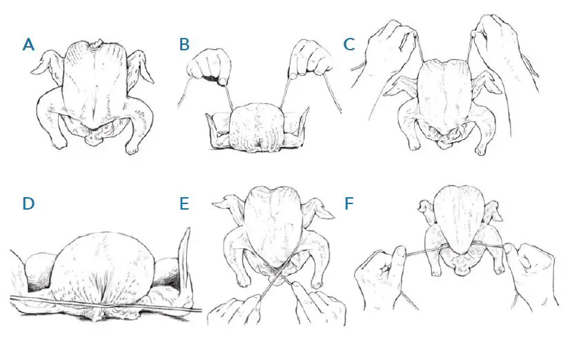 Yedi Air Fryer Oven fig16