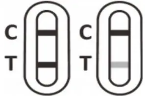 INTERPRETATION OF THE RESULTS 2