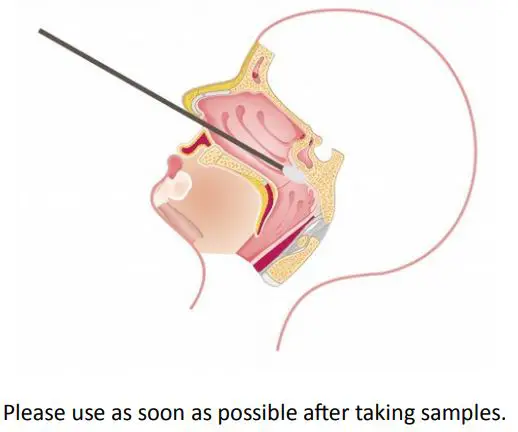 SPECIMEN COLLECTION AND PREPARATION