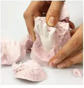 a person holding a plate of food