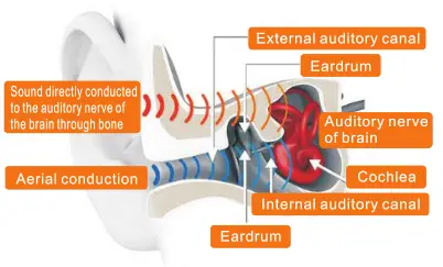 Shenzhen Elenose Technology 528 Plus Bluetooth Headphone - connected