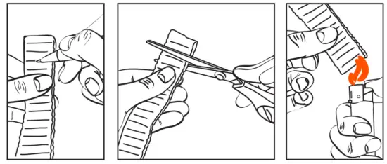 Put the collar on the dog