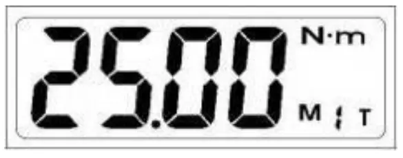 CHECKLINE DWA Series Digital Adjustable Spanner - Time