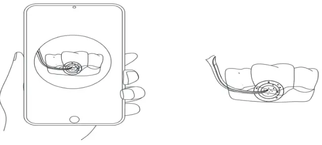 Chongqing Haizhimei Health Technology HZM-P001 Smart Visual Ultrasonic Tooth Cleaner - button to switch