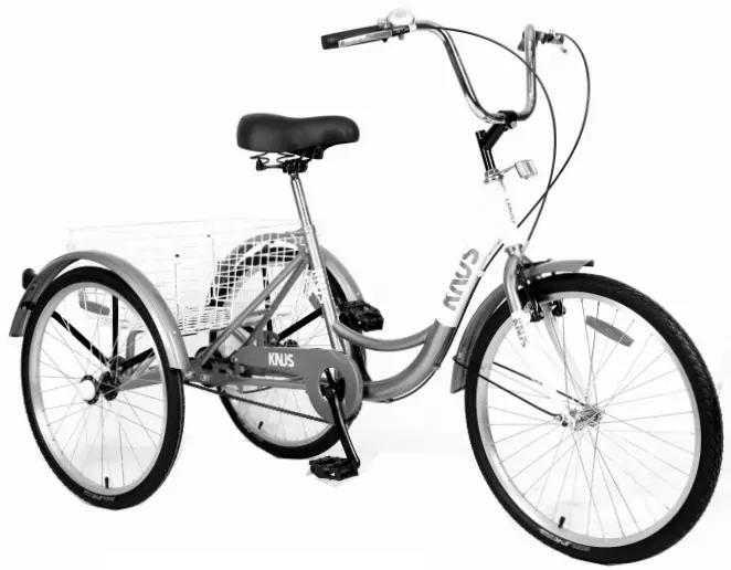 URBAN Classic Eurastyle Foldable Tricycle - FIG 1